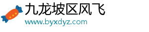 九龙坡区风飞